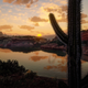Red Dead Redemption II